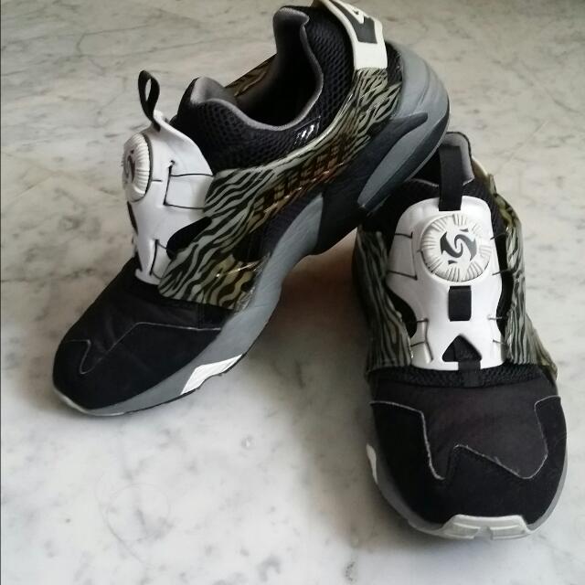 Puma Disc System