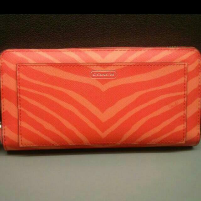 CLEAR STOCK AUTHENTIC COACH ZEBRA PRINT ACCORDION ZIP WALLET