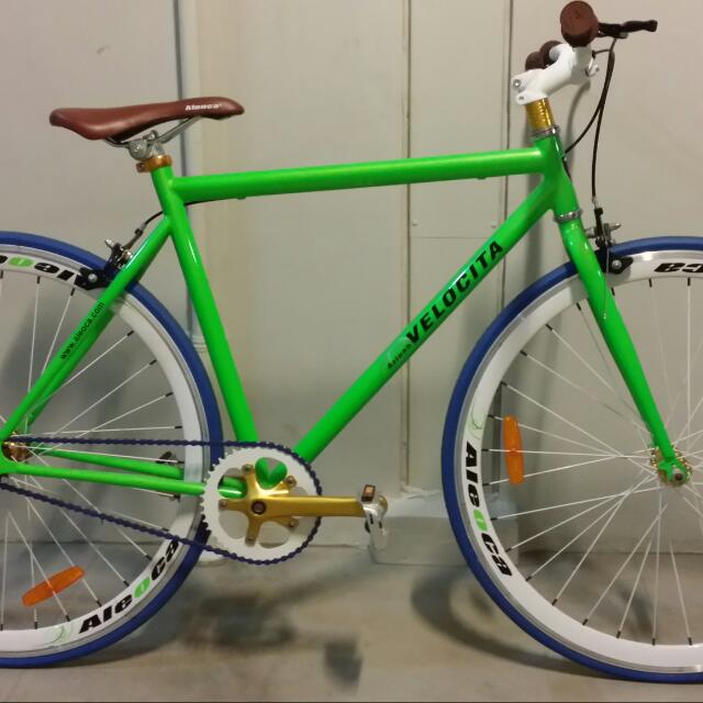 Aleoca fixie 2025