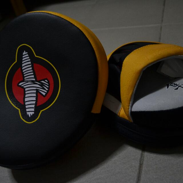 Hayabusa MMA focus mitts, Sports Equipment, Exercise & Fitness, Cardio