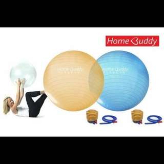 Homebuddy Transparent Swiss Ball