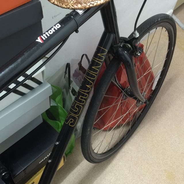 Schwinn Cutter SingleSpeed Bike, Sports Equipment, Bicycles & Parts