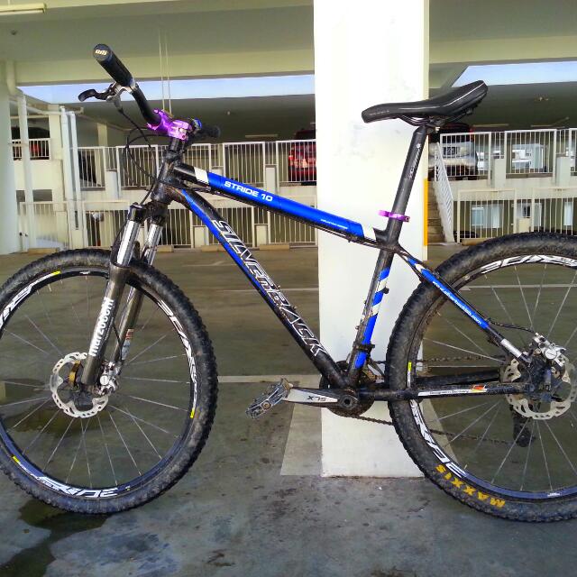 Silverback stride 10 price discount
