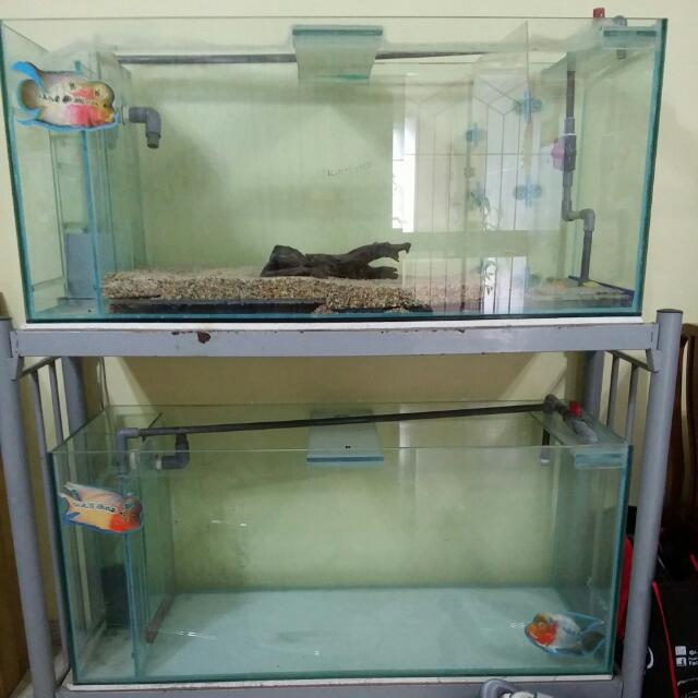 Fish Tank, Furniture & Home Living, Home Decor, Vases & Decorative Bowls on  Carousell