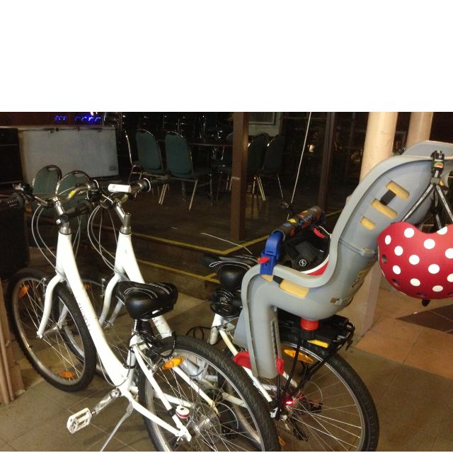 Giant baby bicycle seat hot sale
