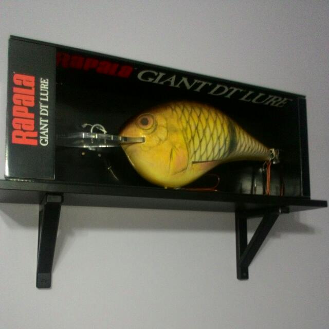 Rapala Giant DT Lure (Jungle Perch), Sports Equipment, Fishing on