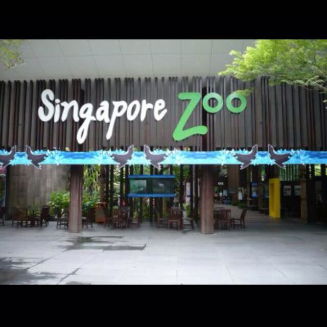 Singapore Zoo Tickets 1424707408 61f22965 
