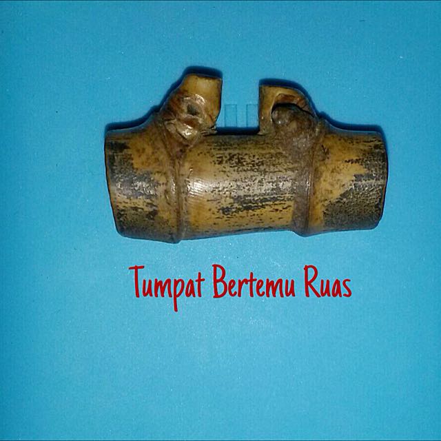 Buluh Tumpat Bertemu Ruas Pendinding Everything Else On Carousell