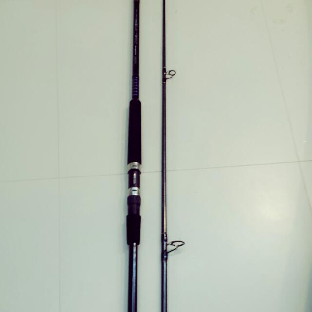 10ft fishing rod