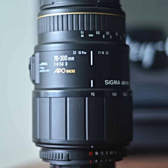 Sigma 70 300 Apo Macro Available Photography Cameras On Carousell Sigma 70 300 Apo Macro Available Photography Cameras On Carousell