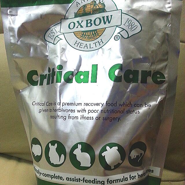 critical care food for guinea pigs