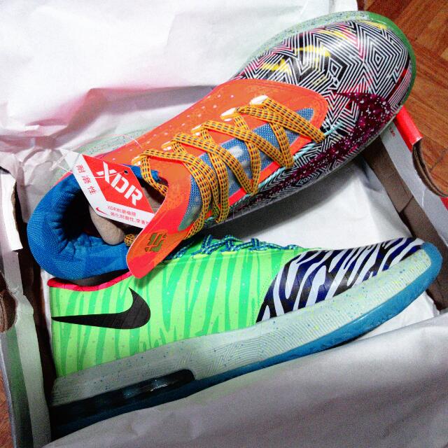 Kd vi premium store