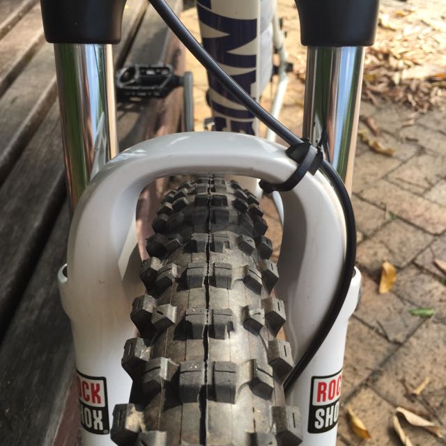 giant terrago 29 2018