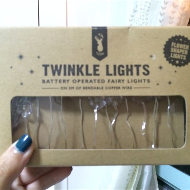 Typo Flower Fairy Lights Women S Fashion On Carousell