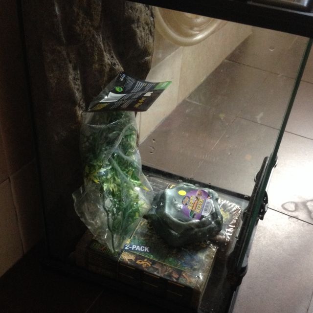 Exo Terra Tank (second Hand), Pet Supplies, Homes & Other Pet