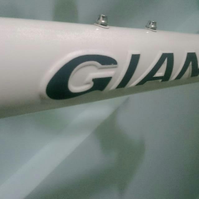 Giant embossed top frame
