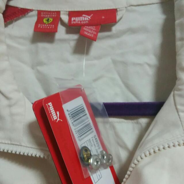 Puma store 708 ferrari