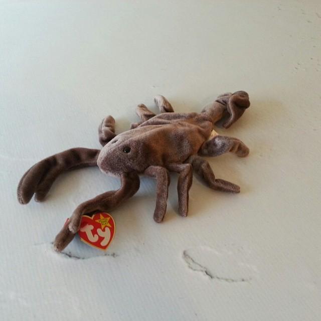stinger beanie baby