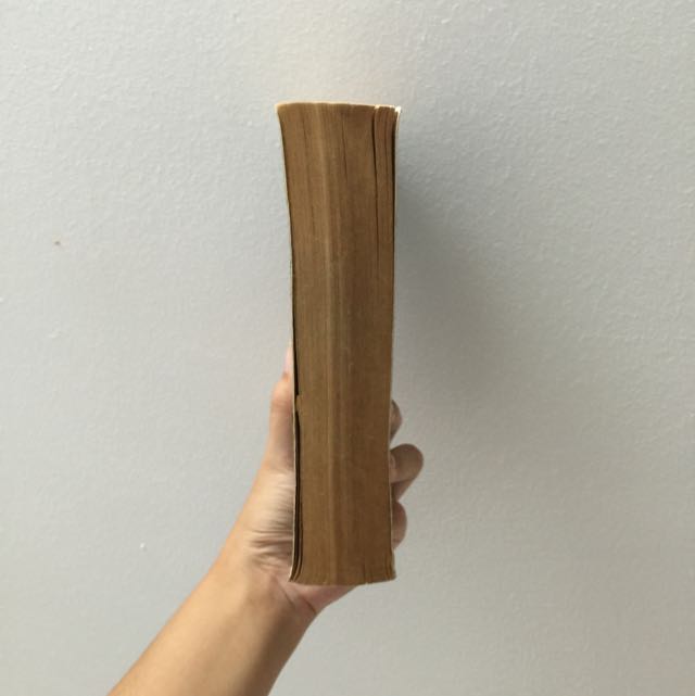 The Last Don Crime Novel Books Stationery On Carousell