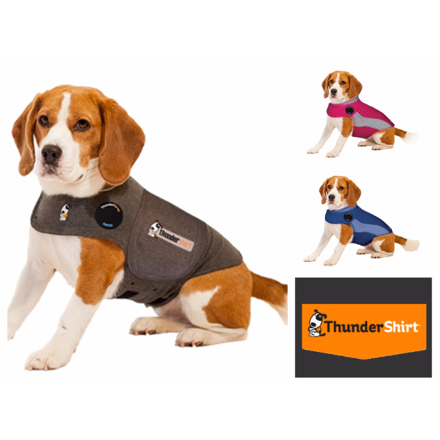 Thundershirt US Patented Solution for Anxious Dogs!, Bulletin Board