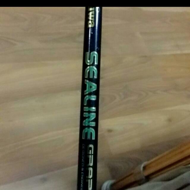 daiwa sealine graphite rod