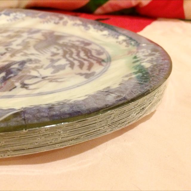 The Local Shop Disposable China Plates, Furniture & Home Living, Home