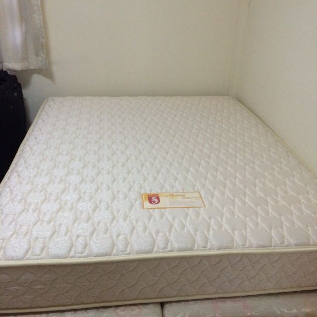 Seahorse on sale spring mattress
