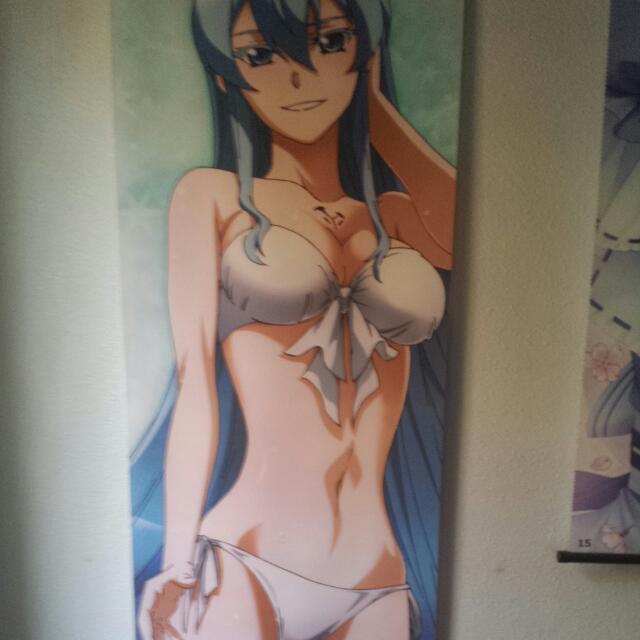 Price Reduced Akame Ga Kill Esdeath Swimsuit Poster, Hobbies & Toys,  Memorabilia & Collectibles, Fan Merchandise On Carousell