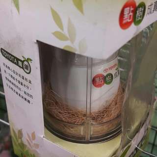 ✴植物魔蛋，只需給予適量水份，植物將破殼而出✴
