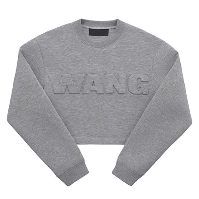 alexander wang h&m scuba sweatshirt