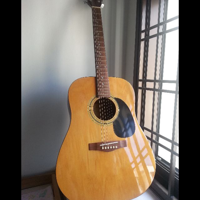 Fina FAW-701 NT, Hobbies & Toys, Music & Media, Musical Instruments on ...