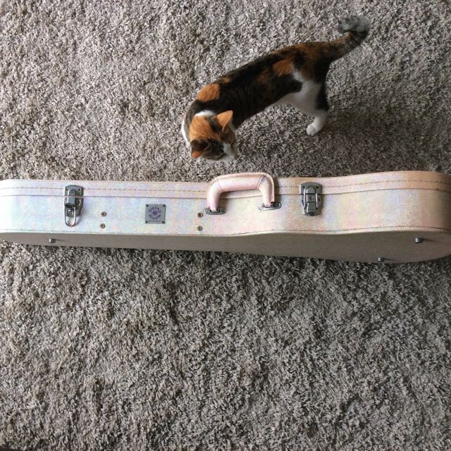 Daisy Rock Pink Hard Shell Guitar Case, Hobbies & Toys, Music & Media, Music Accessories on