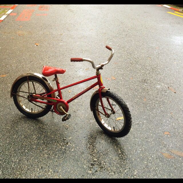 Schwinn pixie top