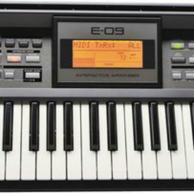 Roland clearance e09 price