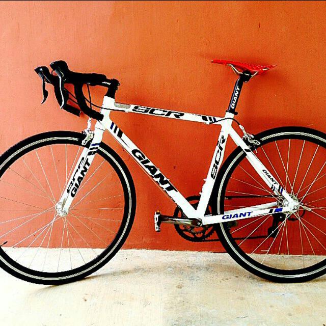 Giant scr on sale 2 2015