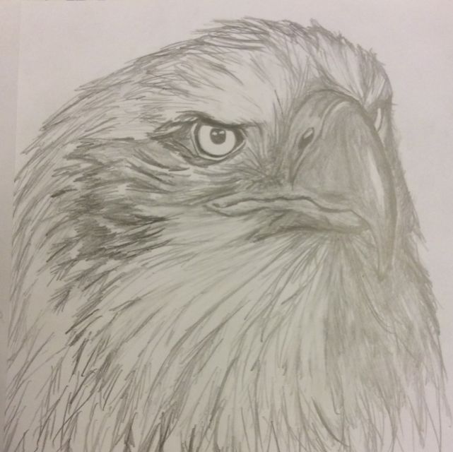 Art Commissions Animals Humans Anime Design Craft On Carousell