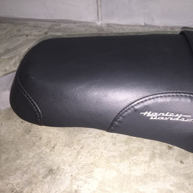 Badlander sportster 2025