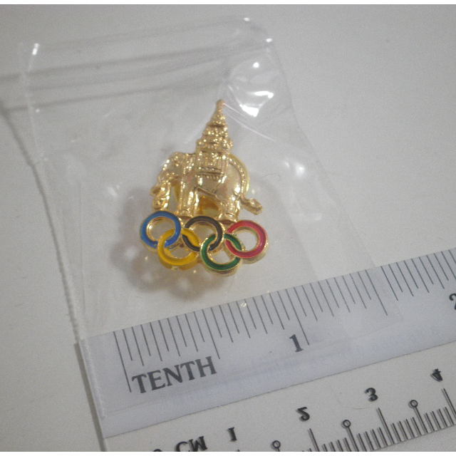 Rio de Janeiro Bermuda Olympic Delegate Jumbo NOC Badge Pin with Box LE 50