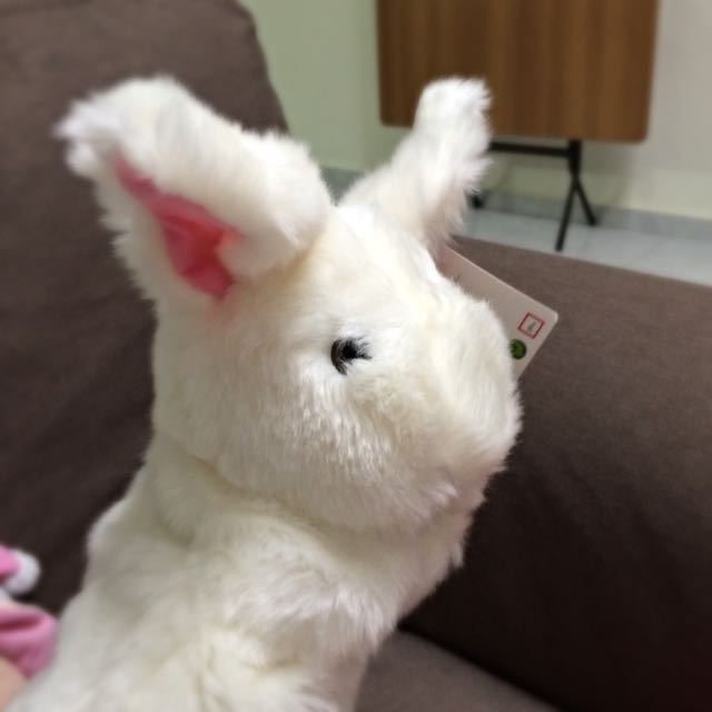animal alley rabbit