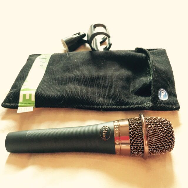 blue encore 200 microphone