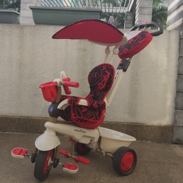 smart trike 4 in 1 dream