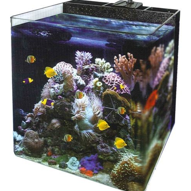 Ocean Free Nano Marine IOS Fish Tank 34L, Pet Supplies, Homes & Other Pet Accessories on Carousell