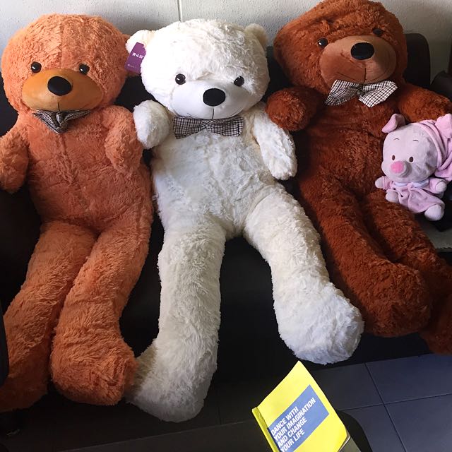 big teddy bears for sale