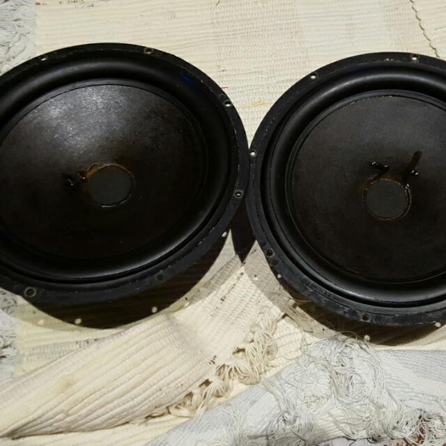 seas 10 woofer
