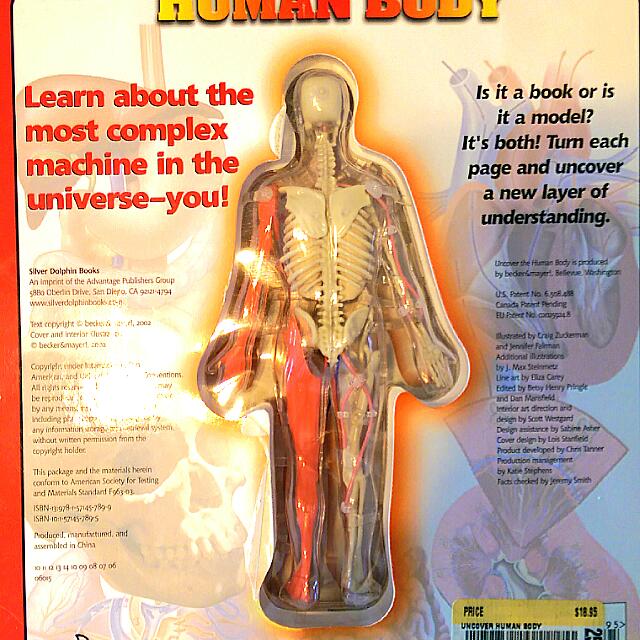 Human Anatomy Interactive 3d Book Toys Games On Carousell