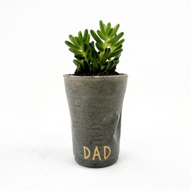 Crushed Concrete Mini Planter, Furniture & Home Living, Gardening, Pots