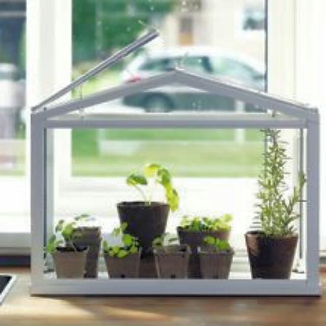 Reserved Ikea Socker Greenhouse Furniture On Carousell