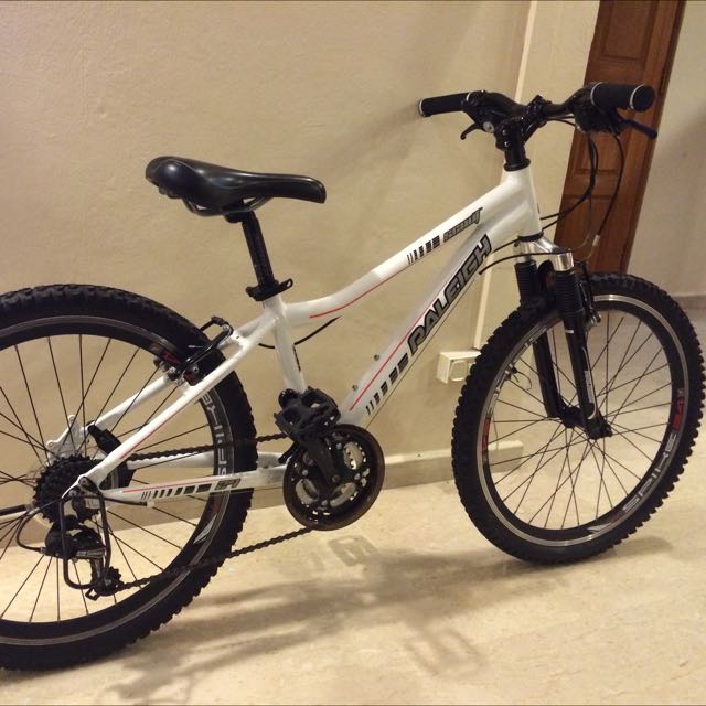 Raleigh Scout 24