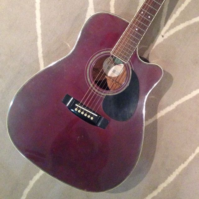 Takamine store eg 334