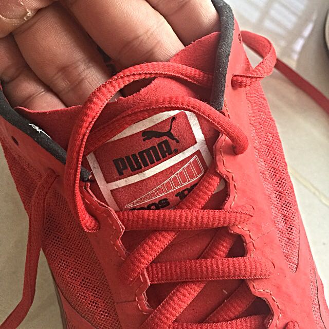 Puma on sale faas 100r